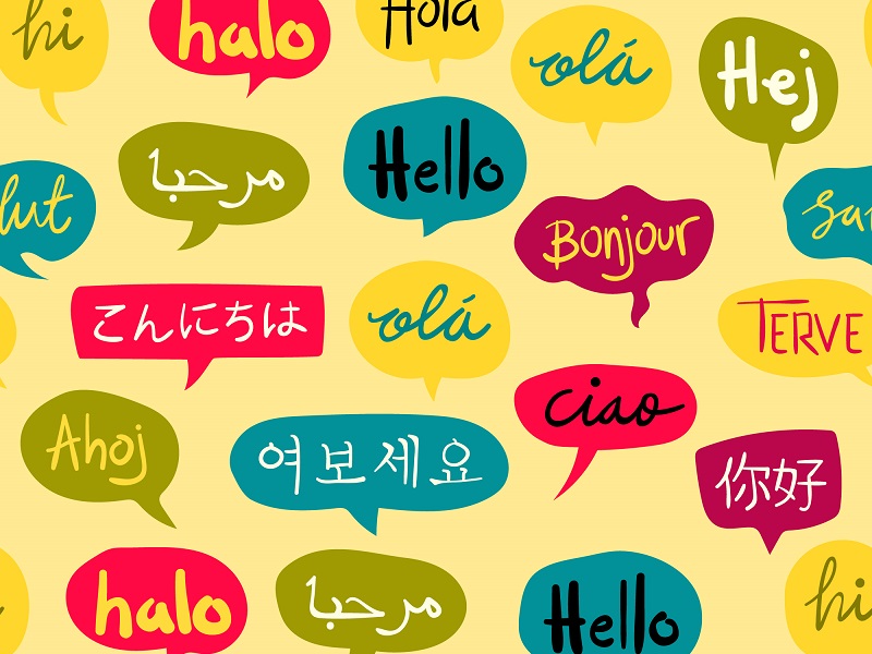 תרגום מקצועי, תרגום מאנגלית ערבית צרפתית רומנית ועוד - לומדים מה שאוהבים